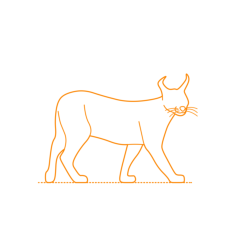 Animals Big Cats Caracal Icon Svg Vector, Free Vectors File